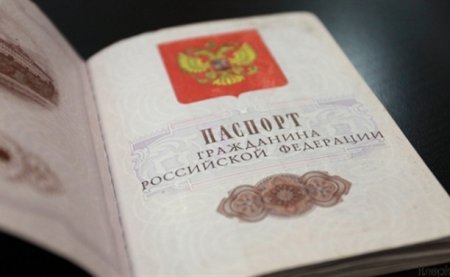 Получение гражданства РФ: в Госдуме предложили упростить процедуру получения гражданства РФ