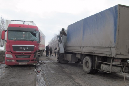 В Подмосковье на трассе М-1 «Беларусь» в Рузском районе 25 апреля произошло ДТП с четырьмя грузовиками, есть жертвы