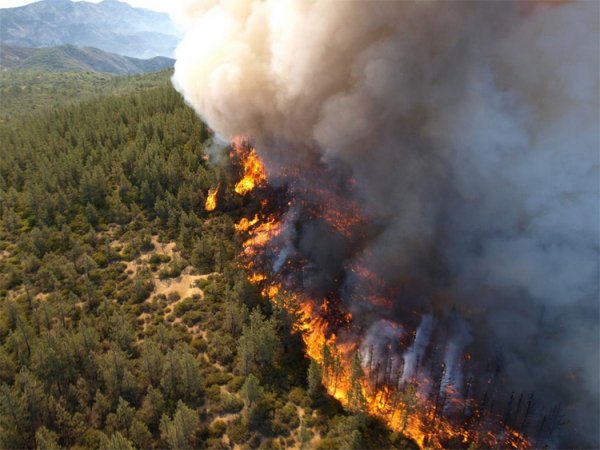 В ДФО лесные пожары охватили территорию в 2,1 тыс. га