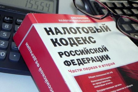 В Совфеде предложили лишить самозанятых россиян полноценной пенсии и путешествий