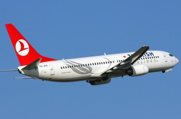 Турецкий самолет вернулся во Внуково после столкновения со стаей птиц