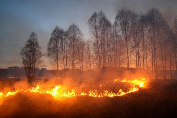 Хабаровск взят в «кольцо» пожарами