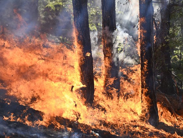 За вчерашний день в Иркутской области ликвидировано 28 пожаров