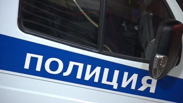 В Самарской области Mercedes сбил насмерть инспектора ГИБДД