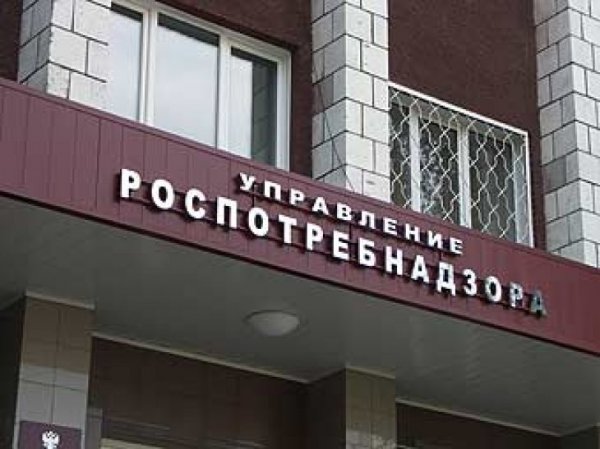 В Шушарах Ленинградской области закрыли детский сад на карантин
