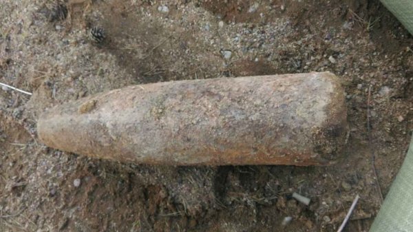 В Ленобласти дачники обнаружили снаряд с 5 кг взрывчатки