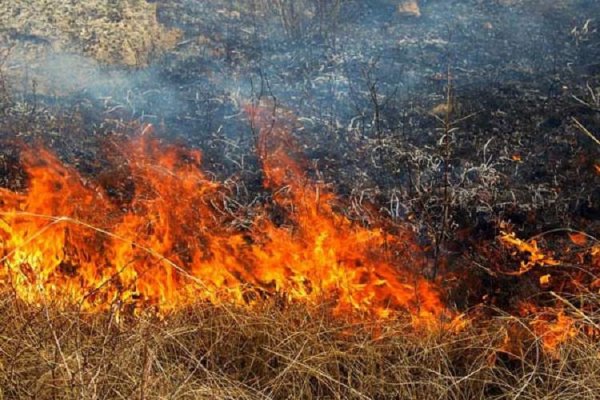 В двух сибирских регионах сгорели сразу три поселка