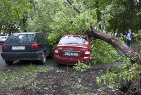 Погода в Москве и области на сегодня, 30 мая 2017 года: последствия урагана 29 мая