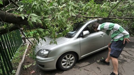 В Москве и области от урагана 29 мая погибли 14 человек: семьям погибших выплатят по миллиону рублей