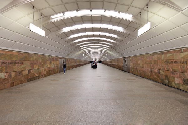 Погибла женщина, попавшая под колеса поезда в метро Москвы