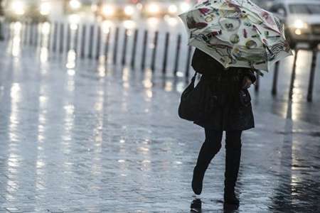 Погода в Москве 13 июня: Гидрометцентр объявил желтый уровень погодной опасности