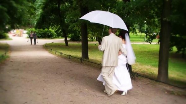В Таврическом саду Петербурга на гостей свадьбы упало дерево