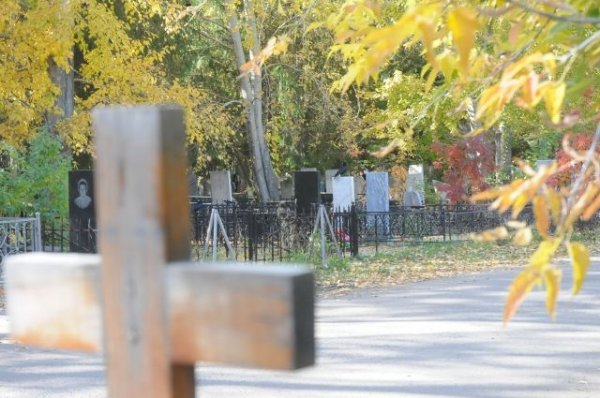В селе на Алтае пьяный мужчина разгромил кладбище‍