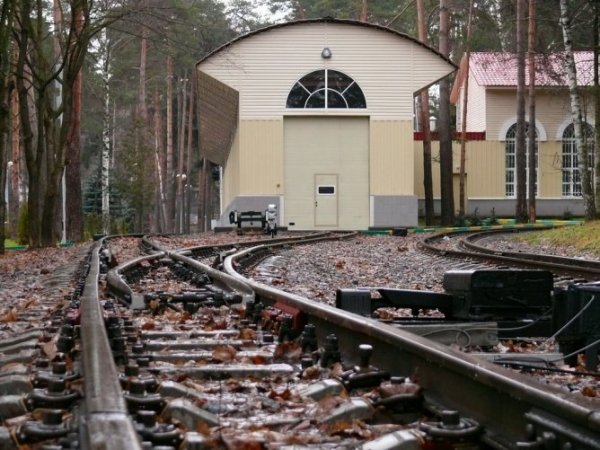 На Рижском направлении Московской железной дороги нарушено из-за инцидента с пассажиром