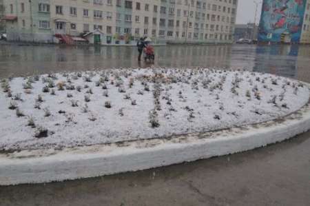В Мурманской области 20 июня выпал снег. ФОТО, ВИДЕО