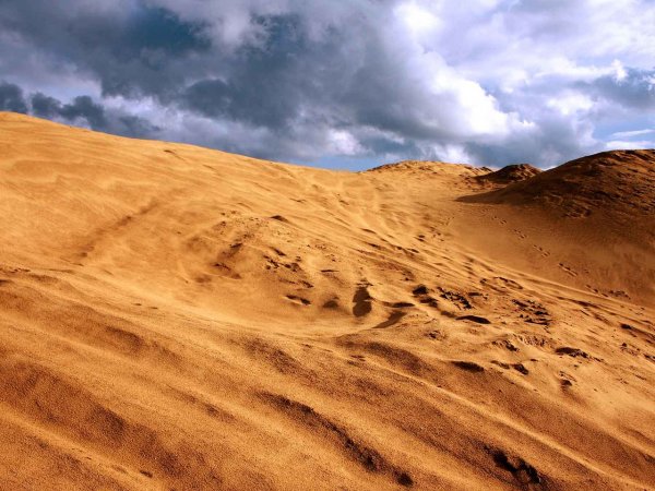 В Мордовии школьника засыпало песком