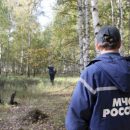 Пропавшего трехлетнего малыша нашли мертвым на границе Воронежской области