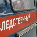 В Новосибирске задержали подозреваемого в изнасиловании 11-летней девочки