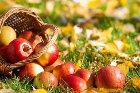 Яблочный Спас 2017 года: какого числа, что можно делать, традиции праздника