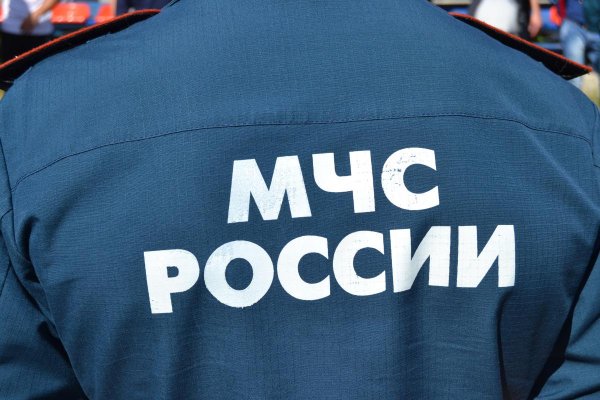 В Москве спасатели вытащили из пруда пьяного тонущего