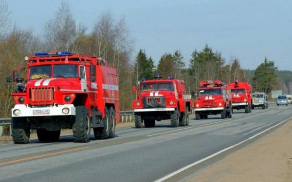 Степной пожар произошел ночью в Волгоградской области 21 августа