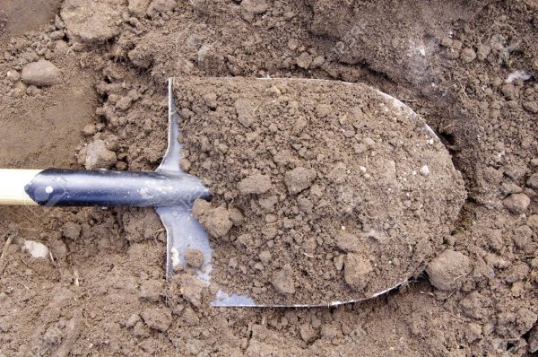 В Курганской области двое мужчин раскопали могилу девушки и пытались сжечь тело