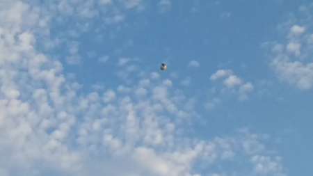 Житель Лос-Анджелеса снял на видео НЛО сферической формы, зависший в небе