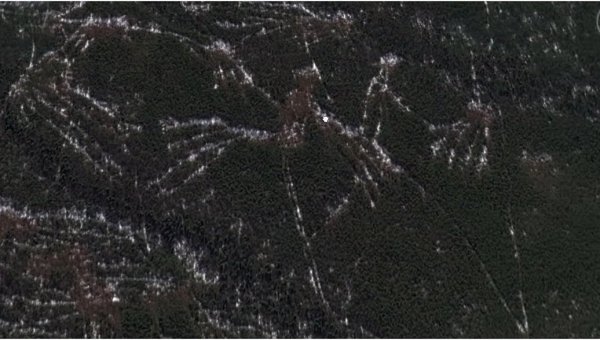 Геоглифы на перевале Дятлова являются лесными вырубками