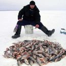 Лучший прикорм для зимней рыбалки