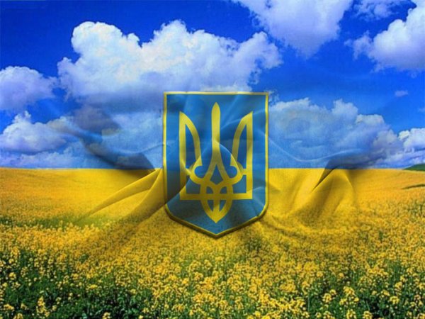 На Украине офицера оштрафовали на $92 из-за взрывов на военном складе
