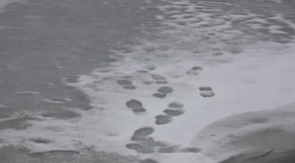 В Волгограде школьник провалился под лед и утонул
