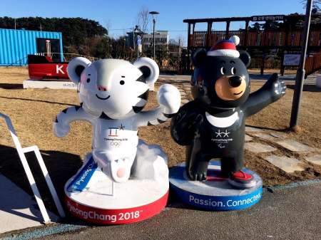 СМИ сообщили о допуске сборной России на Олимпиаду-2018 под белым флагом