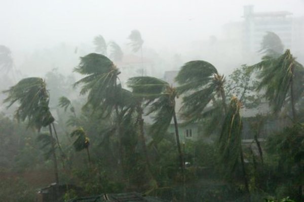 В Индии из-за шторма скончались 20 человек