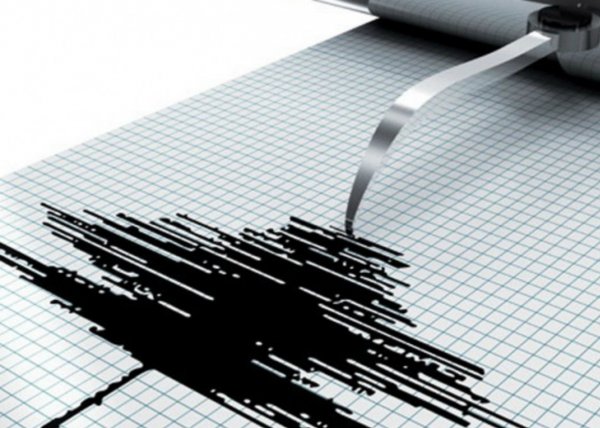 На Камчатке зафиксировали землетрясение магнитудой 5,5