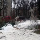 С площади в Пушкино украли сказочного оленя