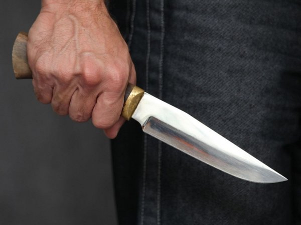 7-летняя девочка изрезала ножом отца в Подмосковье, защищая свою мать