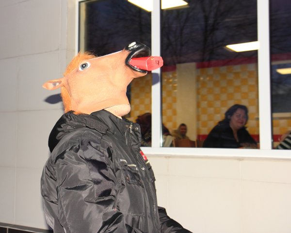Человек в пальто и маске коня обокрал сауну в Новочеркасске