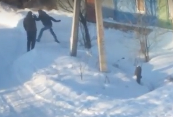 Житель Краснодара снял на видео, как наркоманы под кустом ищут 