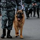 Полиция: Угрозы взрыва в ТЦ «Охотный ряд» не обнаружено