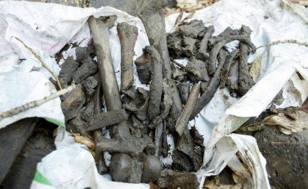 В Туле нашли 30 гробов с останками местных жителей