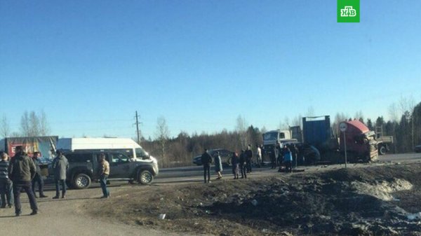 ДТП с микроавтобусом в Вологодской области забрало жизни семи человек