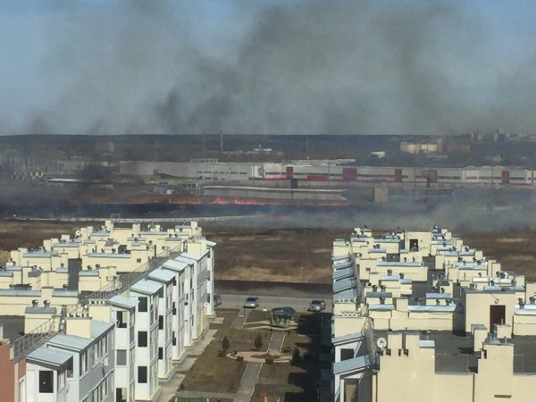 Огонь на поле в Ульяновске может дойти до жилых домов