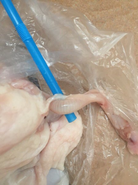 В новгородской "Пятёрочке" женщина купила курицу с дождевым червём внутри