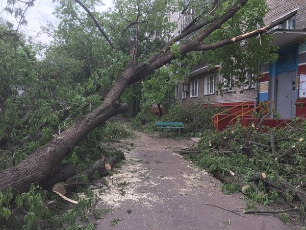 Количество пострадавших от урагана в Москве увеличилось до 25