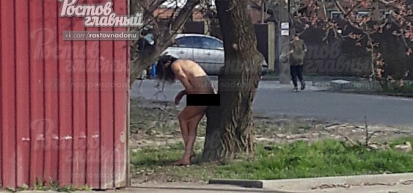 Голая девушка поклонилась дереву в Ростове
