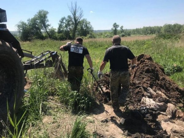 Вещи погибших в Иловайском котле нашли в скотомогильнике под Днепром