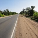 Возле трассы в Ростовской области обнаружили мумию велосипедиста
