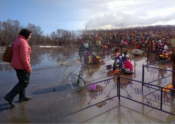 Гробы в воде, кресты упали: На кладбище в Ярославле затопило могилы после паводка