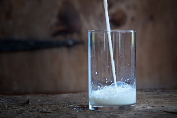Воспитанникам детсада в Канске давали молоко с кишечной палочкой