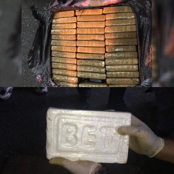 Рыбные консервы из Эквадора - в Петербурге изъято 400 кг кокаина на 4,5 млрд рублей